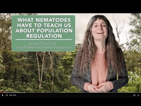 What nematodes have to teach us about population regulation