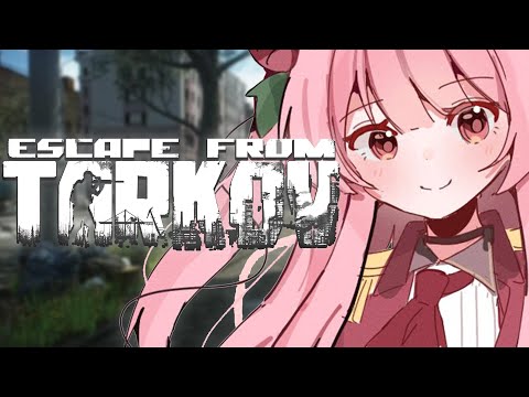 【ESCAPE FROM TARKOV】the scav dream