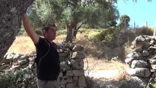 NICO SARCOSI = CORSICA SION (Sarkozy): Anagram by Templar`s "Priory of Sion" from Octogon