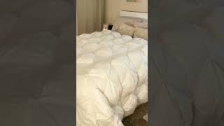 Snuggle with This Luxury Comforter in Christmas Season