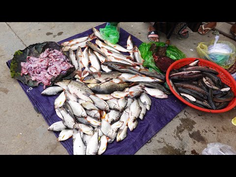 Psar Ta Khmao Thmei Fresh Food Market On Monday @ 8AM, Cambodian Street Food