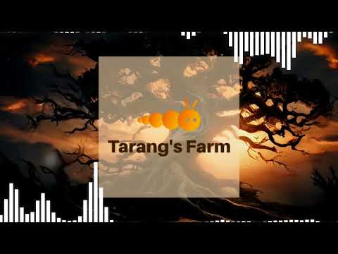 Video 3