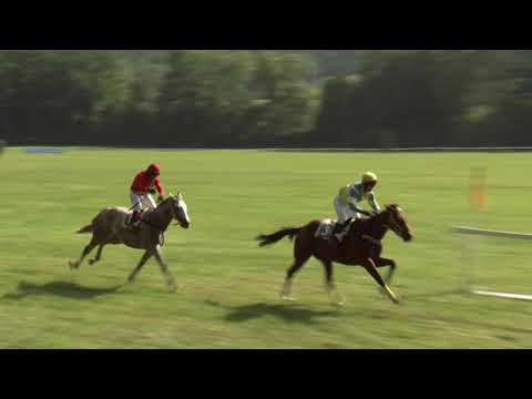 6. dostih - Steeplechase Agrokomplex Šumava s.r.o. - dostihy Netolice 15. 8. 2021