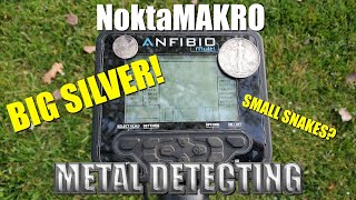 Metal Detecting: NoktaMakro Simplex and Anfibio - Old River Crossing