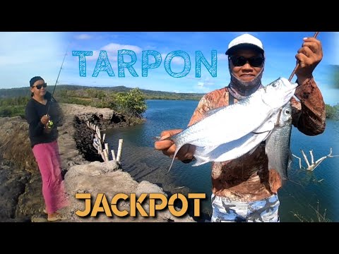 P1 - JACKPOT tayo sa TARPON (catchNcook)