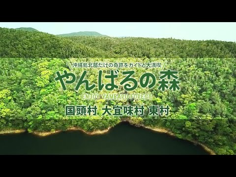 『やんばるの森』認証ガイドネイチャーツアーPR動画