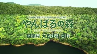 やんばるの森 日本の世界遺産・動画