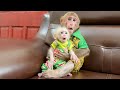 Bibi protects and takes care of the baby monkey when Mom is busy! - Monkey BiBi Bibi protects and takes care of the baby monkey when Mom is busy!