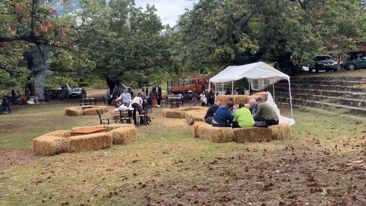 Magjia e vjeshtës në Reç, masivet me gështenja që i japin zonës hijeshinë e veçantë
