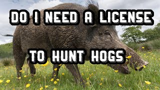 Do I Need a Hunting License For Hogs