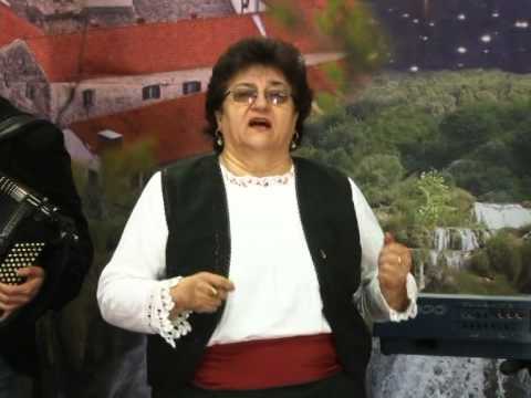 Sava Putnik - Oj Banijo rodna grudo moja - Svrati u zavicaj - (TV Duga Plus 2012)