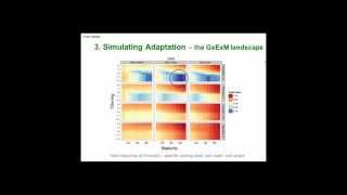 Designing sorghum crops for the northern grains region (The GEM approach)