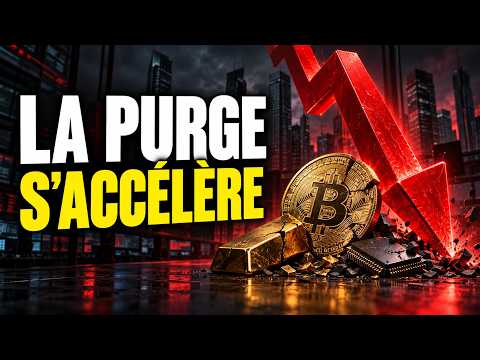 LA PURGE S’ACCÉLÈRE : tech, Bitcoin, or sous pression (Les Archives de l'Architecte EP29)