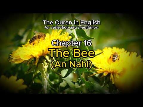 Chapter 16 The Bee - An Nahl (The Quran in English for reflection and meditation)