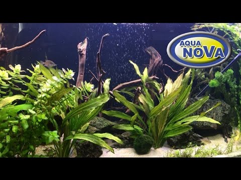 Aqua Nova AC-24 lankstus difuzorius oro užuolaida 60cm video