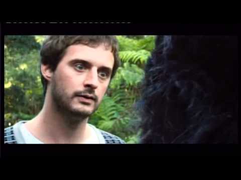 Money Supermarket Patrick Stewart Gorillas