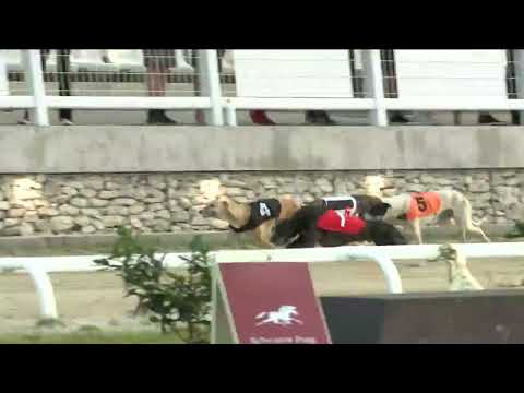 2022.06.24. 04. futam - Kincsem Park Sprint Derby Elődöntő II. futam