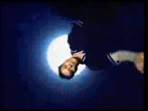 Straitjacket Fits - Cat Inna Can (Music Video)