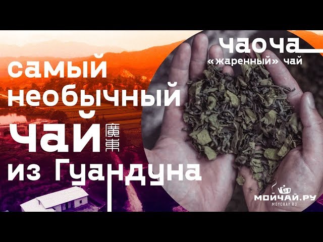 Самый необычный чай из Гуандуна. Чаоча - "жаренный" чай.