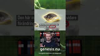 Thumbnail for video: Skapade variationsmekanismer i SVT-dokumentär om evolution