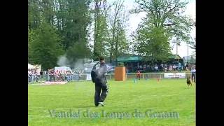 preview picture of video 'Damien Charlès - GAF, fuyantes, 3eme sélectif Ring 2012 à Moncoutant Gr 8'