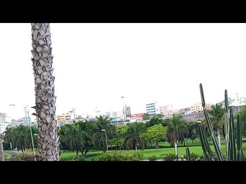Feliz Jueves Lluvioso