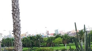 Feliz Jueves lluvioso!! 🌧🌦