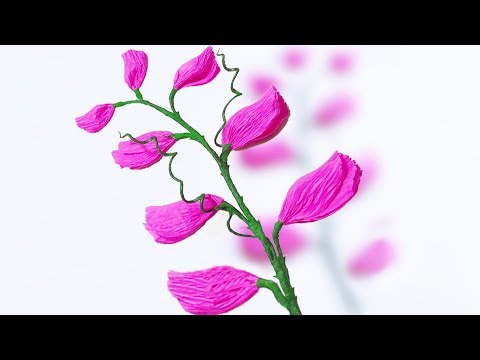 DIY:How to make Sweet Pea crepe paper Flowers