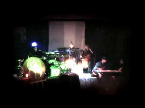 Katarzyna Ryrych - Żółty Anioł