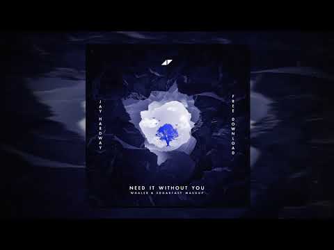 Need It Without You (3dgarfast & Whaler Mashup) - Avicii vs. Jay Hardway