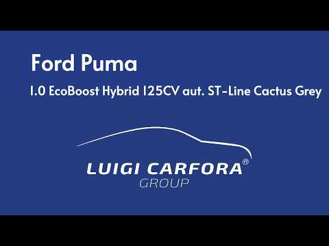 Video vettura