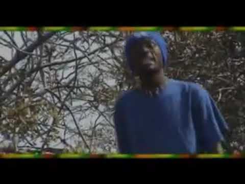 Dan muyaya (timba official video)