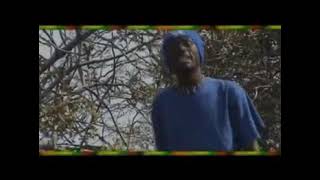 Download lagu Dan muyaya (timba official video) mp3 Download lagu Dan muyaya (timba official video) mp3