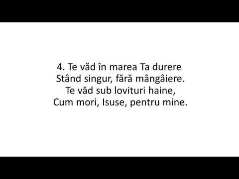 Te văd mergând prin praf şi soare - video