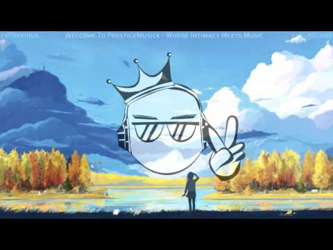 Aether & SizzleBird ft. Veela - Raccoon City