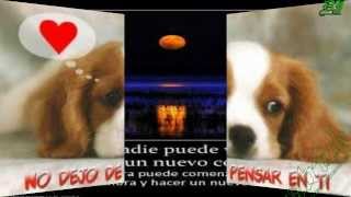 Mirando al cielo Roberto Tapia