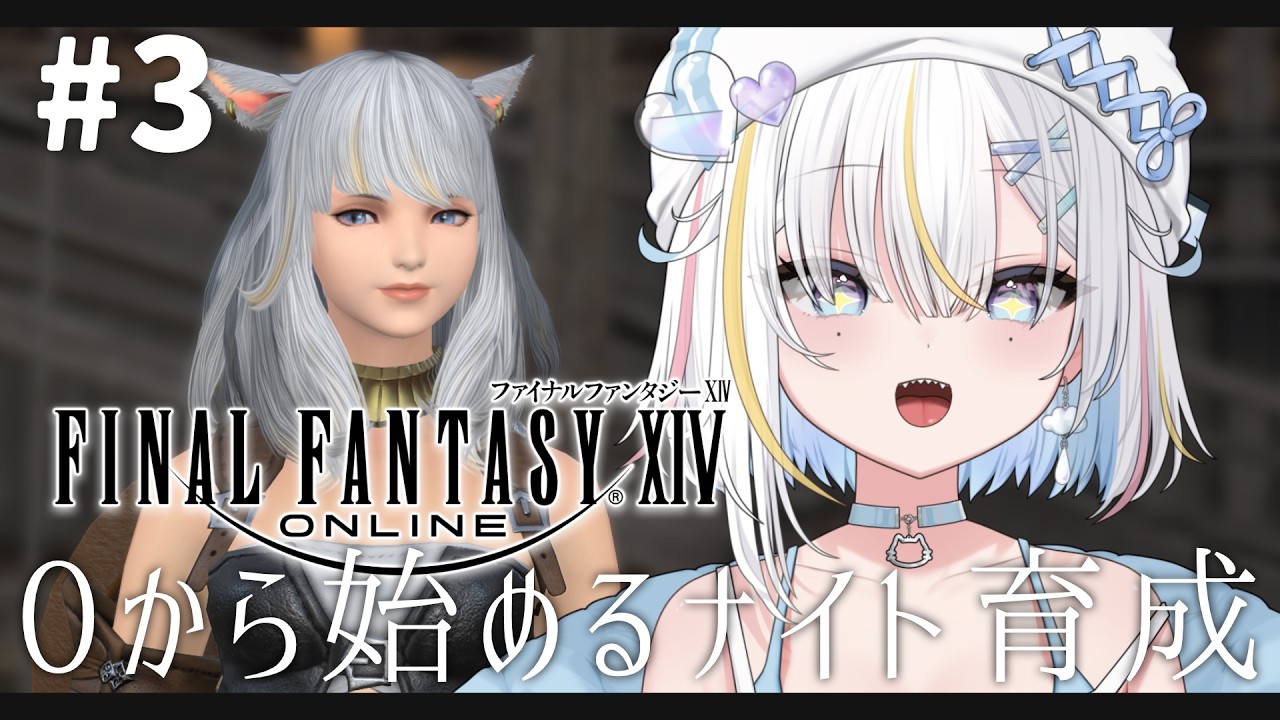 【ファイナルファンタジーXIV】はじめてのナイト育成！※ネタバレ注意 - 03【宵雨りと / ぶいわん】