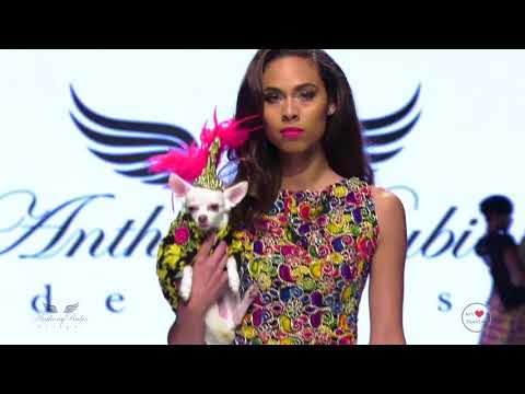 ANTHONY RUBIO at Los Angeles Fashion Week Presented by AHF LAFW