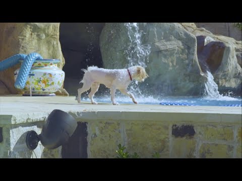 Carátula del video del producto