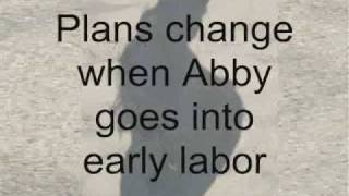 The Captain&#39;s Lady by Lorhainne Eckhart