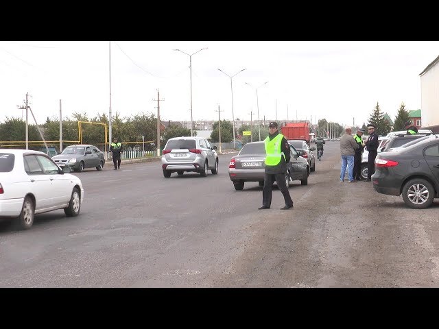 Больше и автомобилей, и нарушителей