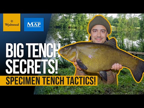Specimen Tench Fishing | Matt Fernandez | Feeder Fishing