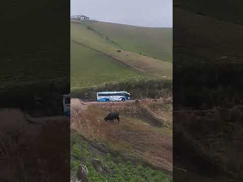 Desde Guano en la provincia de Chimborazo hasta Baños en  Tungurahua, otra ruta en moto