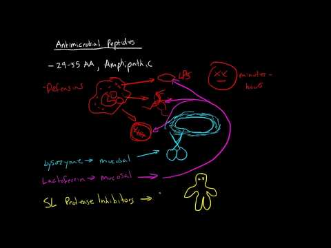 Immunology Antimicrobial Peptides