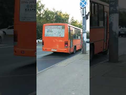 т59 маршрутка паз 3204 нижний новгород
