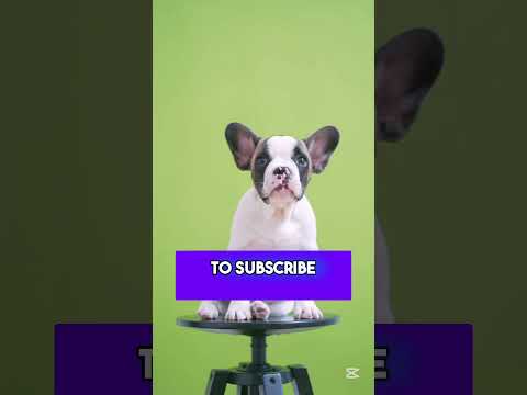 Muž je Prevario Ženu i ONA je OVO Uradila! 😱