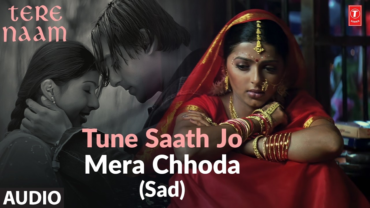 Tune Saath Jo Mera Chhoda (Sad) (Full Audio) | Tere Naam | Salman Khan | Udit Narayan | Sajid-Wajid
