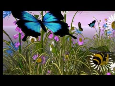 BIDDU ORCHESTRA - COULDN' T WE BE FRIENDS