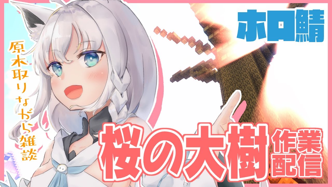 Minecraft:ホロ鯖に桜の大樹をのんびり作る作業。【ホロライブ/白上フブキ】