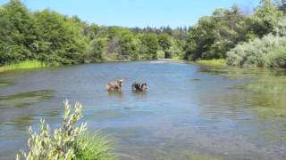 preview picture of video 'Shoreline Hwy Road Trip 07/2014'